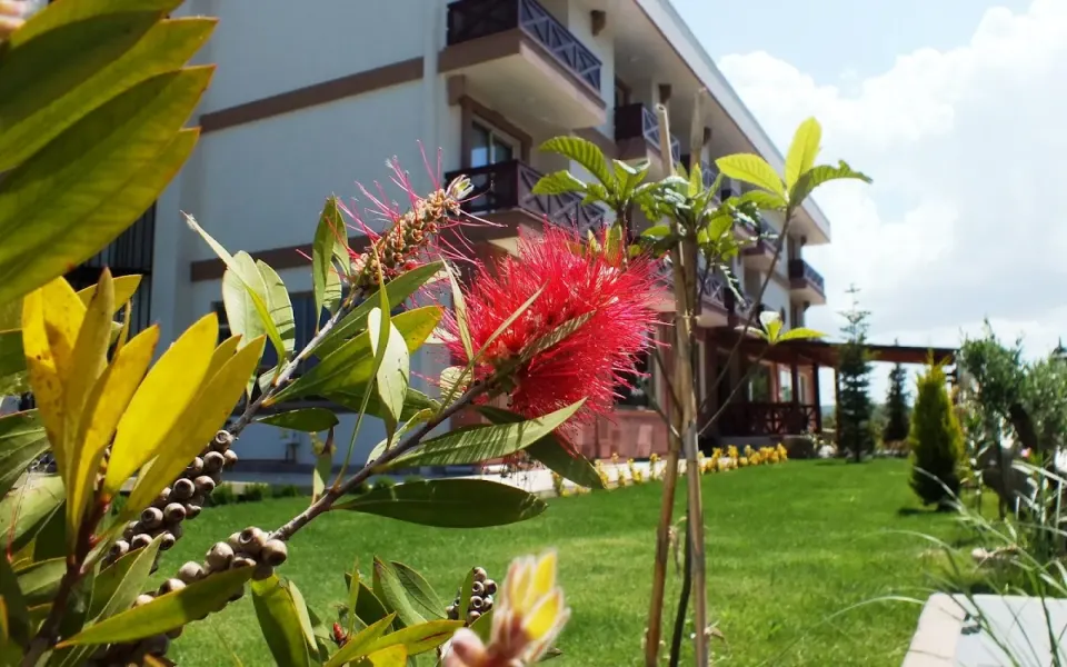 Otel projelerinde eskitme ahşap yatırımı yazısında ahşap balkonlu otel binası ve kırmızı çiçekler