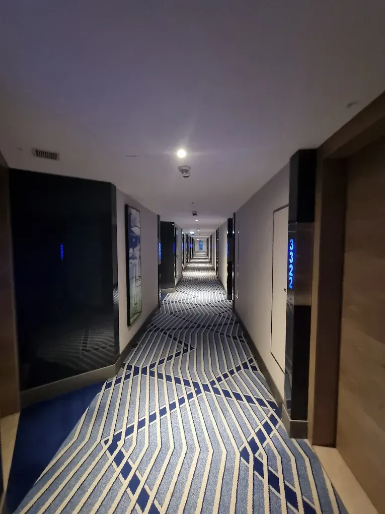Otel Koridoru – Siyah Cam Kapı Çerçeveleri, Desenli Halı