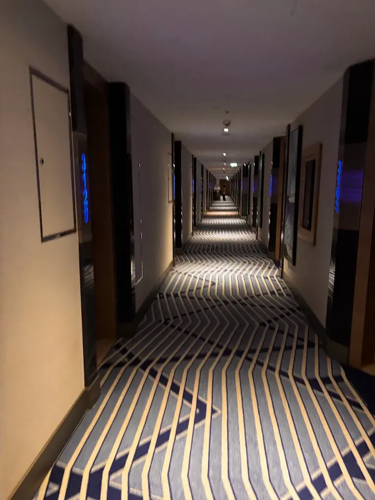 Yangına dayanıklı otel kapılarının sıralandığı zikzak desenli halı kaplı uzun koridor